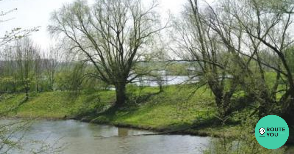 De Blauwe Kamer Natuurgebied Routeyou