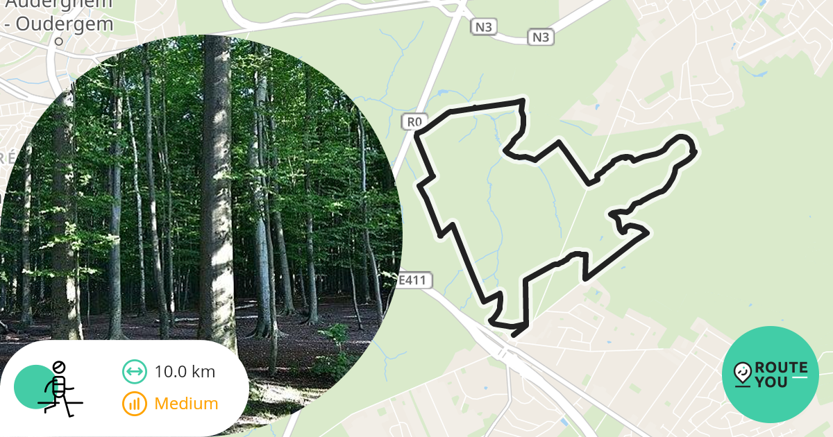 Jezus Eik Wandelen In Het Zoni Nwoud Recreatieve Wandelroute Routeyou