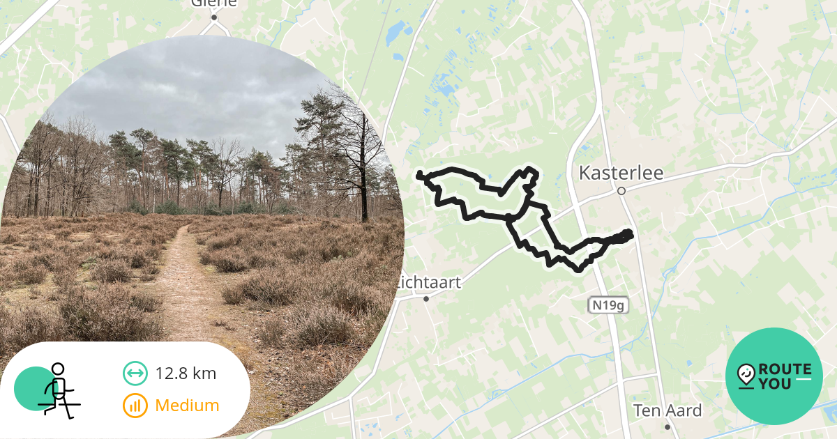 Hoge Rielen Kabouterberg Wandelroute Routeyou