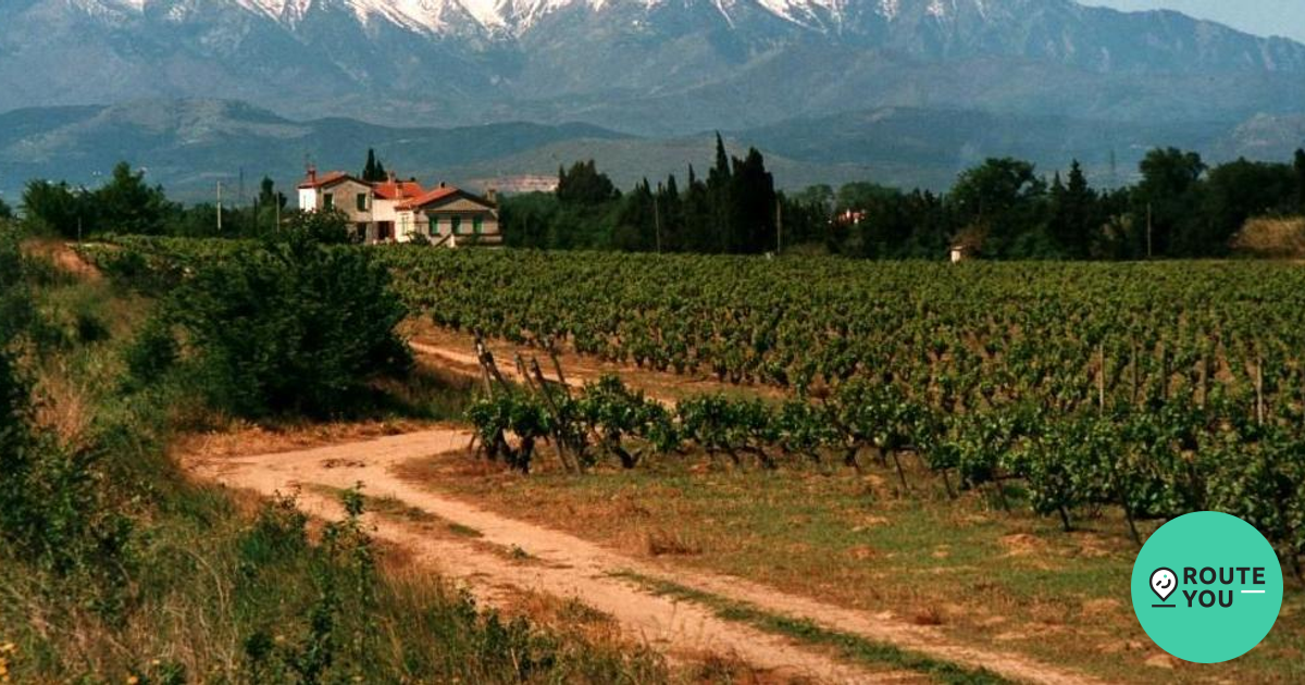 Verken De Pracht Van Languedoc Top 10 Motorroutes RouteYou