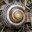 Mathematics and nature