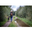 Toppers door de natuur in Mol