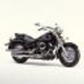 Cruiser