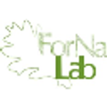 ForNaLab