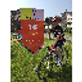 robert@rood16.be