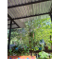 test707@mailforspam.com