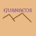 Guanacos hiking