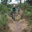 freerideur