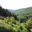 Le forestier de Poupehan