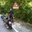 Teig650SC