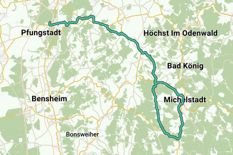 eiben 2 m hoch kaufen Taxus baccata