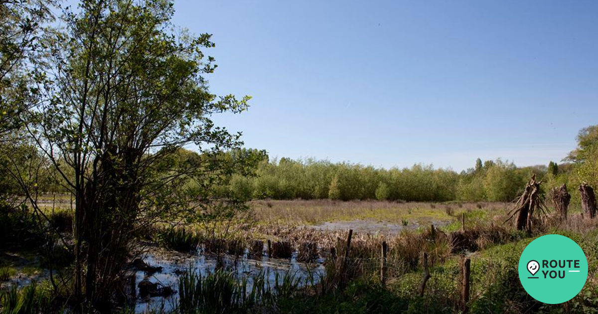 Parkbos - Bos | RouteYou