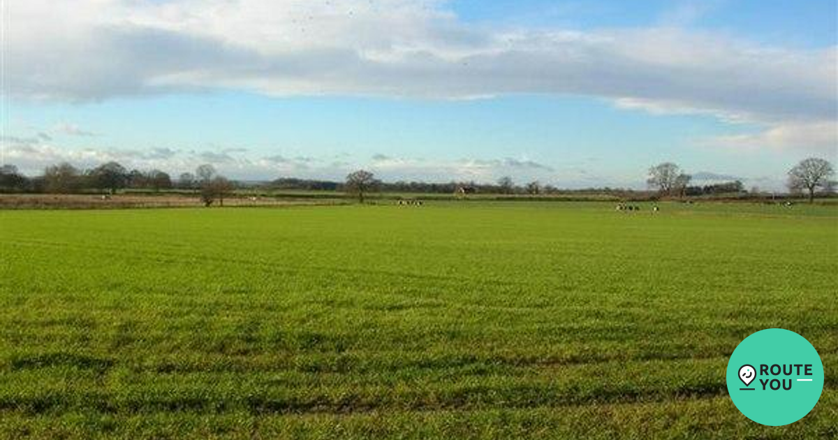 Steeton Municipality RouteYou