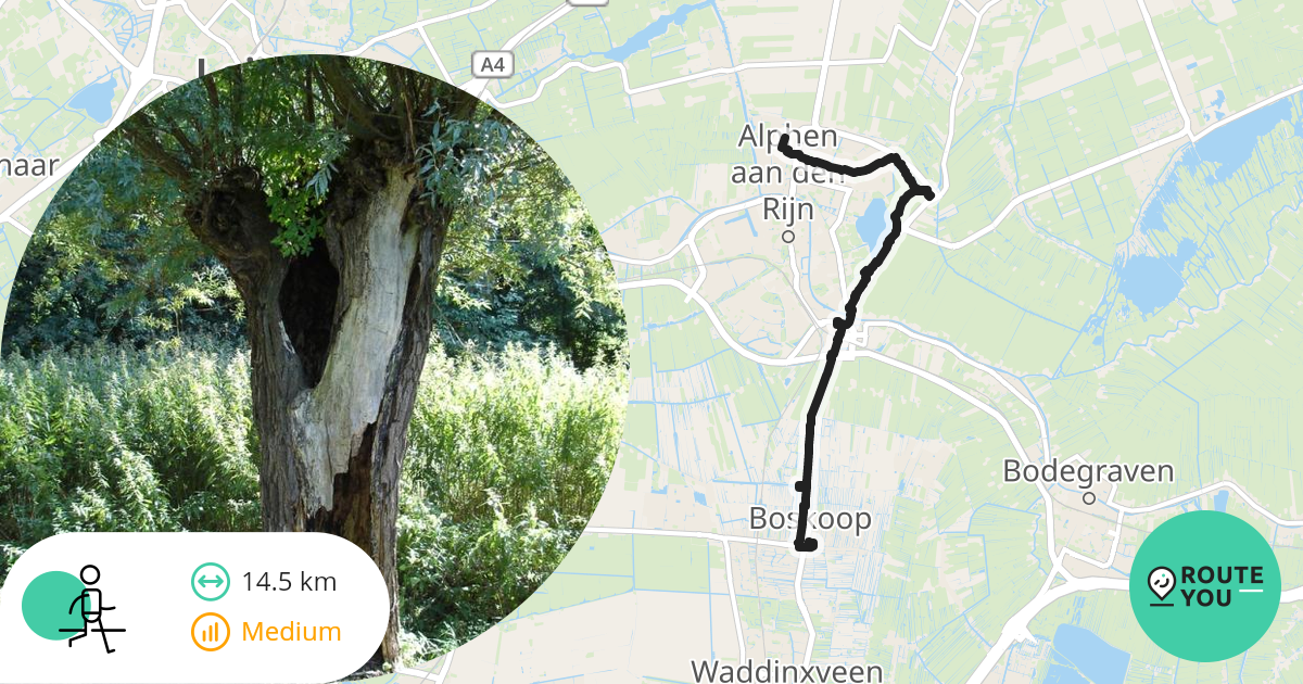 Boskoop - Alphen aan den Rijn - Wandelroute | RouteYou