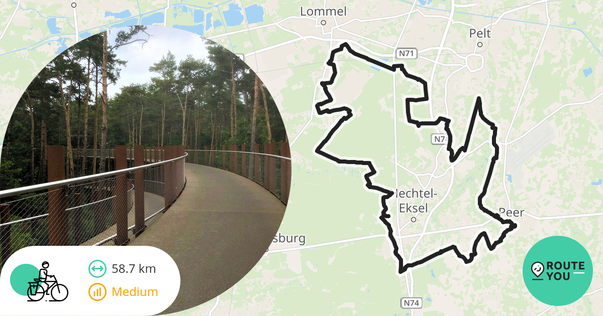 Fietsen Door De Bomen In Bosland - Recreatieve Fietsroute | RouteYou