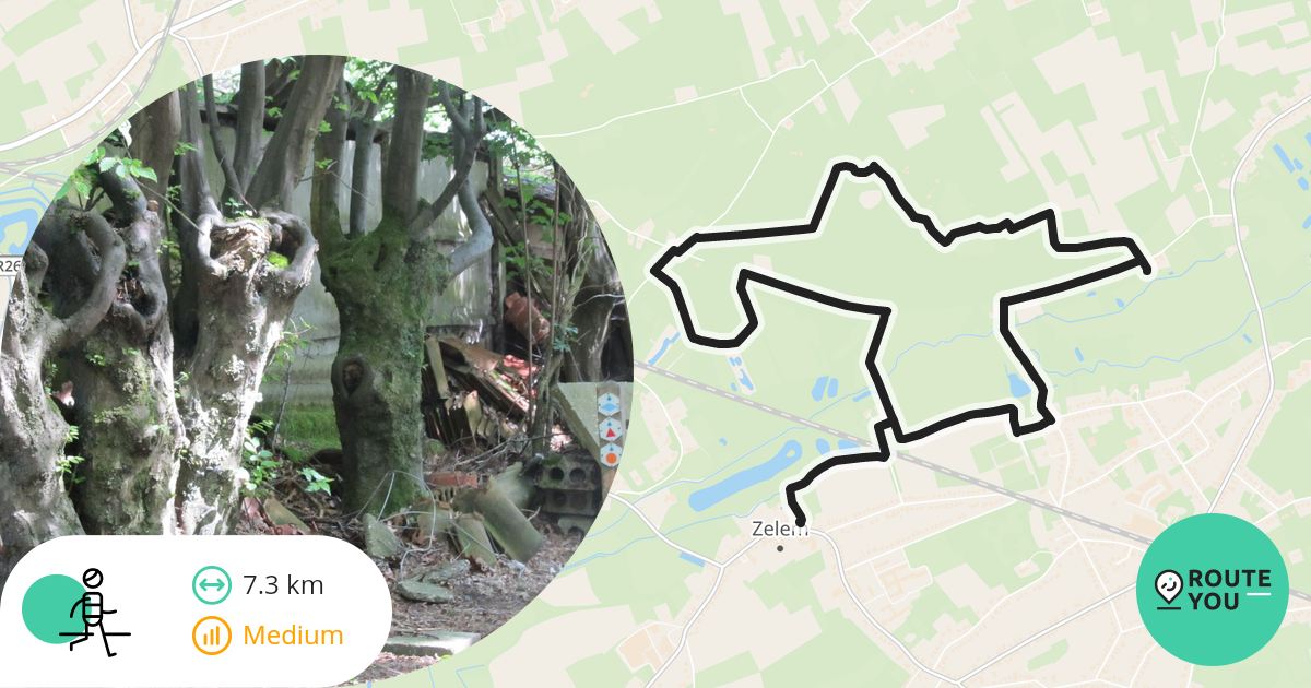 Natuurreservaat De Zwarte Beek Zelem Halen Wandelroute Routeyou