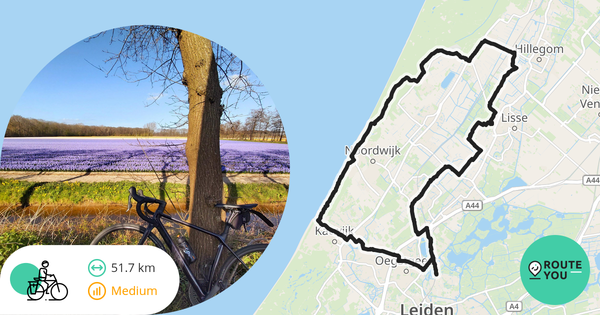 Genieten van de Bollenstreek (52 km) - Recreatieve fietsroute | RouteYou
