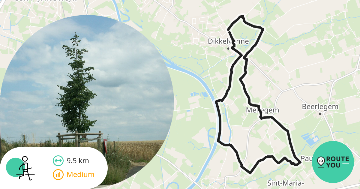 Dikkelvenne Wandel 9km - Wandelroute | RouteYou