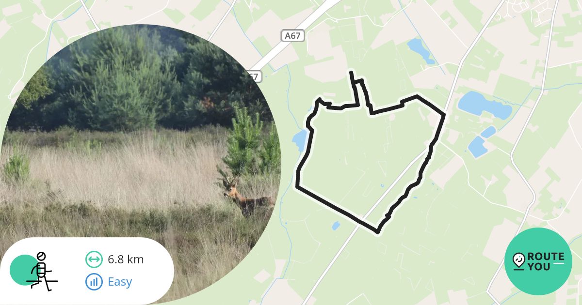 TOP Natuur wandelroute Cartierheide - Recreatieve wandelroute | RouteYou
