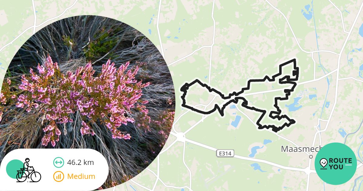MTB 2025 46 KM - Recreatieve fietsroute | RouteYou