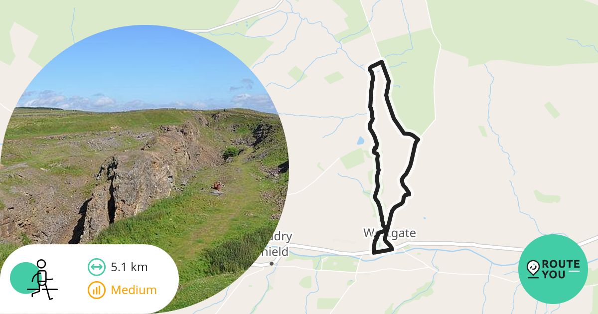 slitt-wood-and-west-rigg-geotrail-walking-route-routeyou