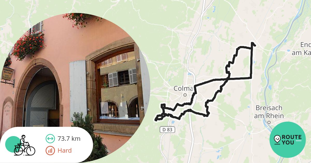 rit7 Dirk.D 2026 Marckolsheim - Eguisheim 73 km h370 ** - Recreatieve ...