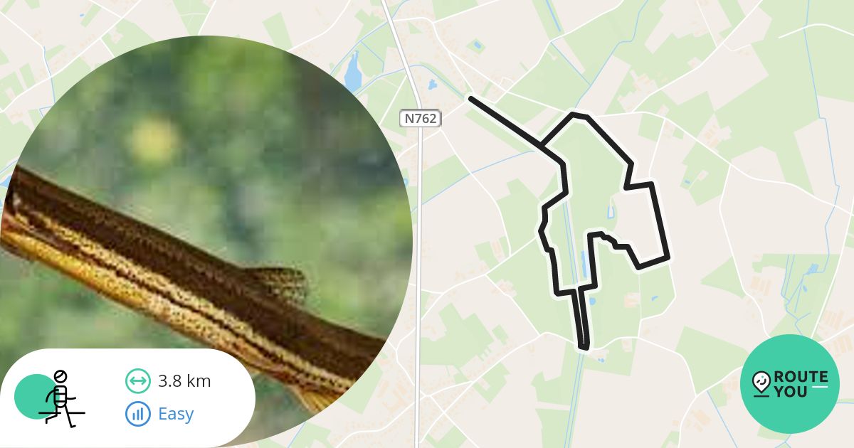 Natuurgebied De Goort - Recreatieve wandelroute | RouteYou