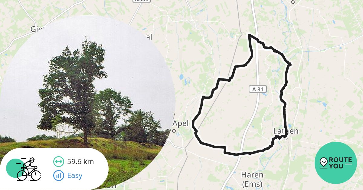 Te Routes Een fietsroute om van te genieten langs Hasseberg - Racefietsroute ...