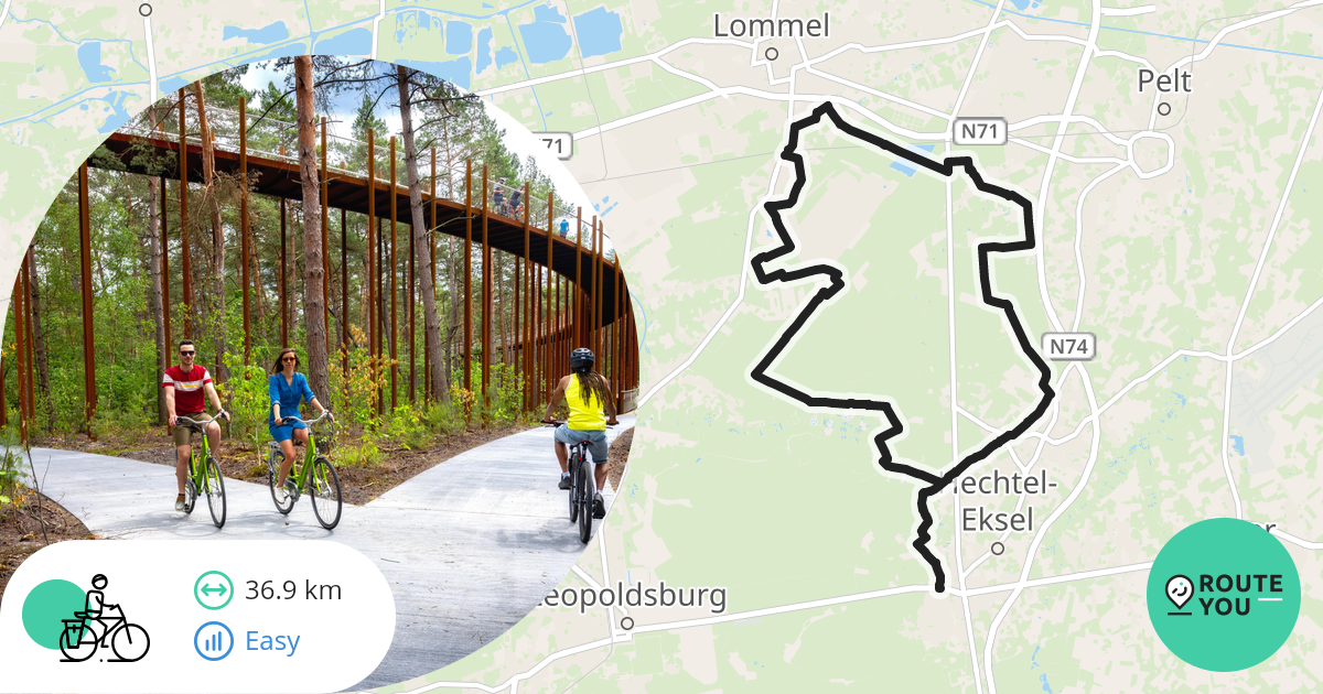 Fietsen Door De Bomen In Bosland - Recreatieve Fietsroute | RouteYou