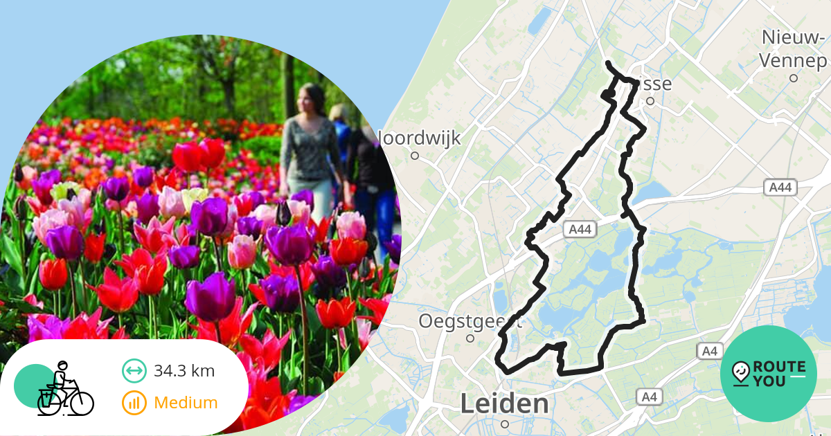 Fietsrondje Kasteel Keukenhof En Lisser Art Museum - Recreatieve ...