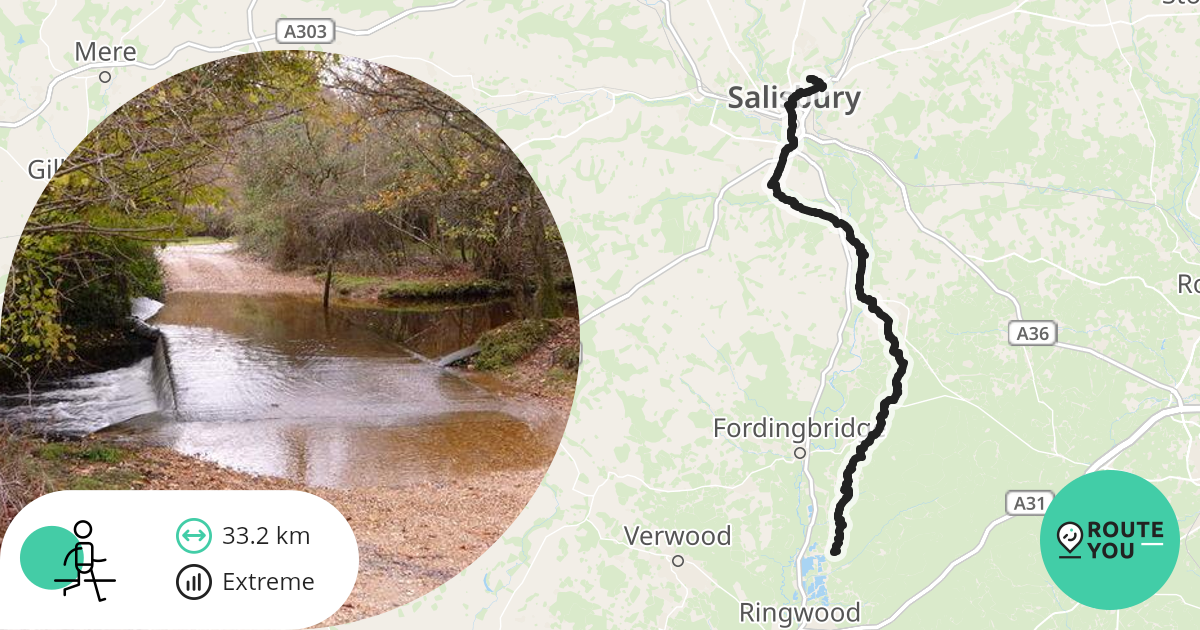 New Forest - Salisbury - Walking route | RouteYou