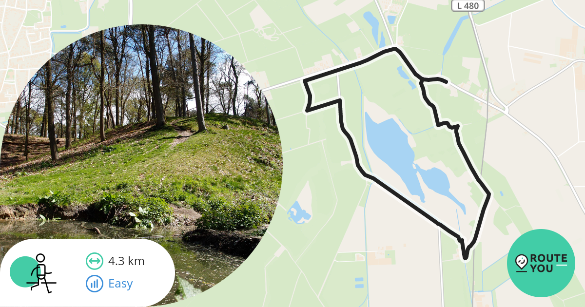 Wandellus Op Verharde Wegen In Arcen Wandelroute RouteYou