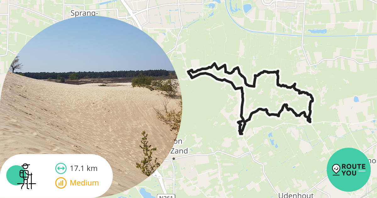 Loonse en Drunense Duinen - Bosch en Duin - De Roestelberg - De