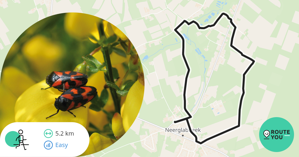 Oudsbergen Wandelroute RouteYou