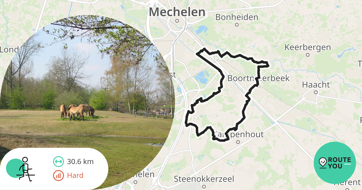 happen en trappen 2022 - Wandelroute | RouteYou