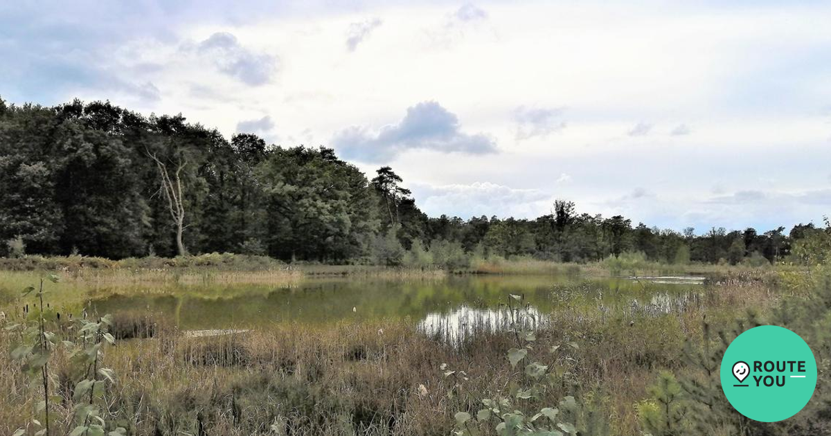 Ontdek de 10 mooiste wandelroutes in Vlaams Brabant langs knooppunten ...