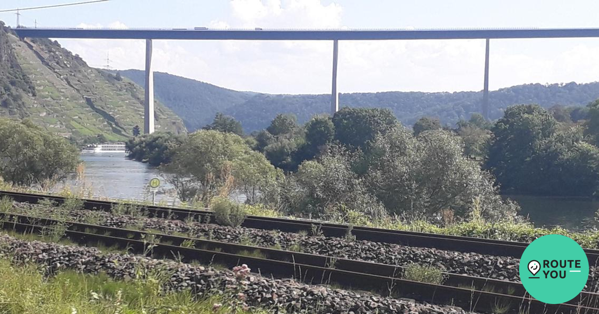 Ontdek de 10 mooiste autoluwe routes langs de Duitse Rijn | RouteYou