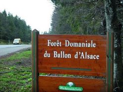 Ballon d'Alsace