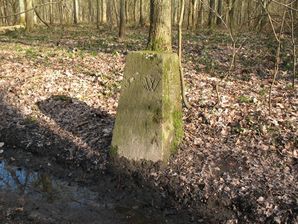 Hallerbos