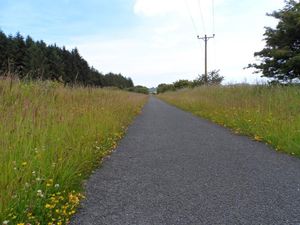 Long straight stretch, lined with wild flowers