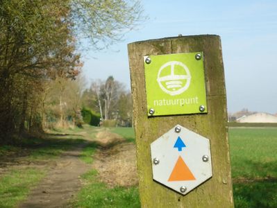 Een strandwandeling eindigt in een hete vrij partij