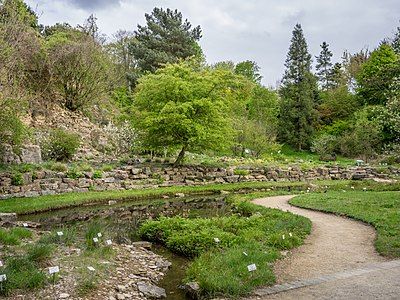 Botanischer Garten Osnabruck Garten Routeyou