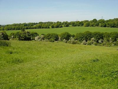 Steep, Hampshire - Wikipedia