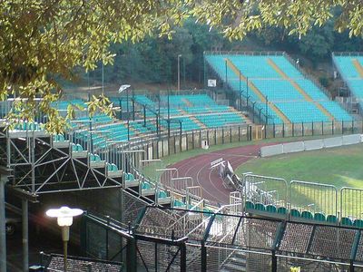 Stadio Artemio Franchi - Wikipedia