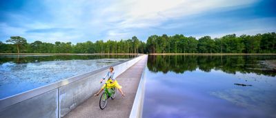 Van Fietsen door het Water naar Fietsen door de Bomen - Recreatieve  fietsroute | RouteYou