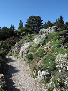 Botanischer Garten Munchen Nymphenburg Garten Routeyou