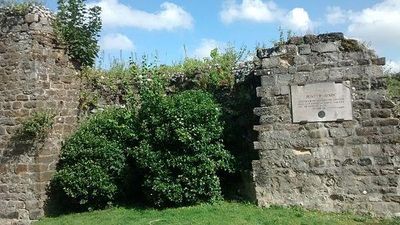 Abbevile Saint Valery Sur Somme Abbeville Recreational Cycle