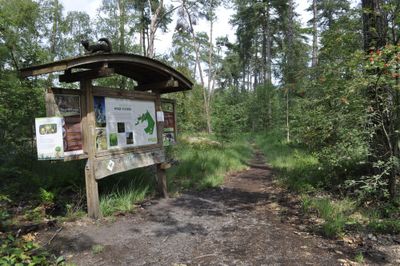 Domeinbos De Hoge Vijvers Bos Routeyou