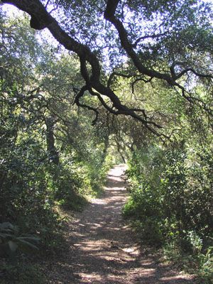 Gaviota State Park
