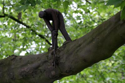 The treesawyer